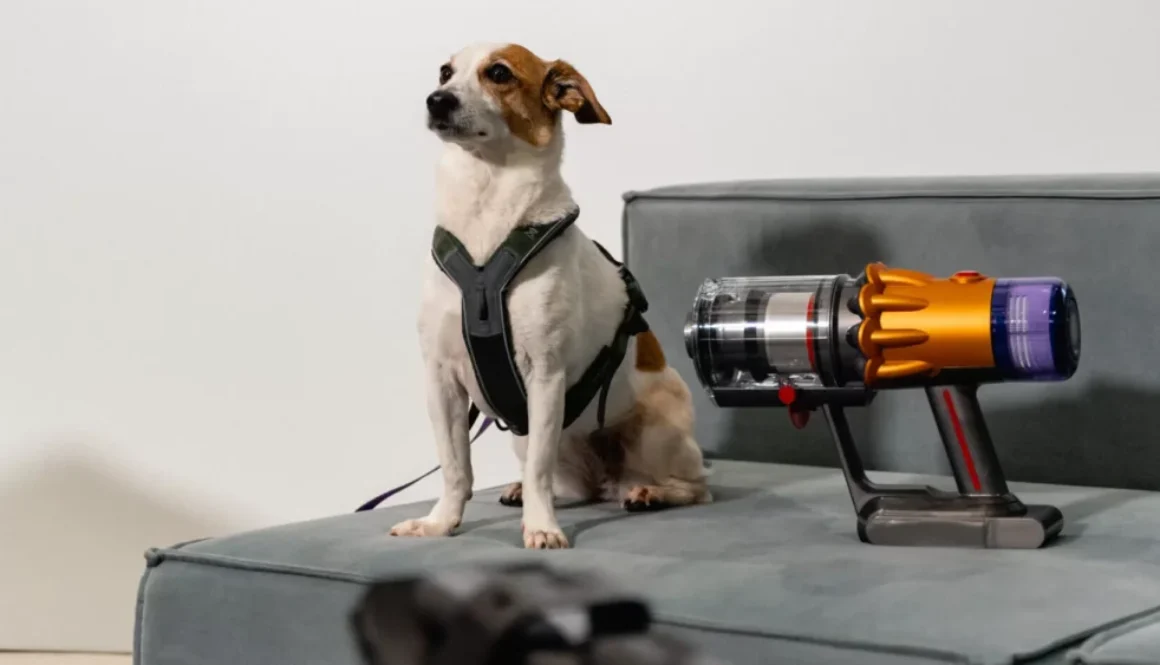 14.-Dyson-Pet-Event-scaled-e1697287311263